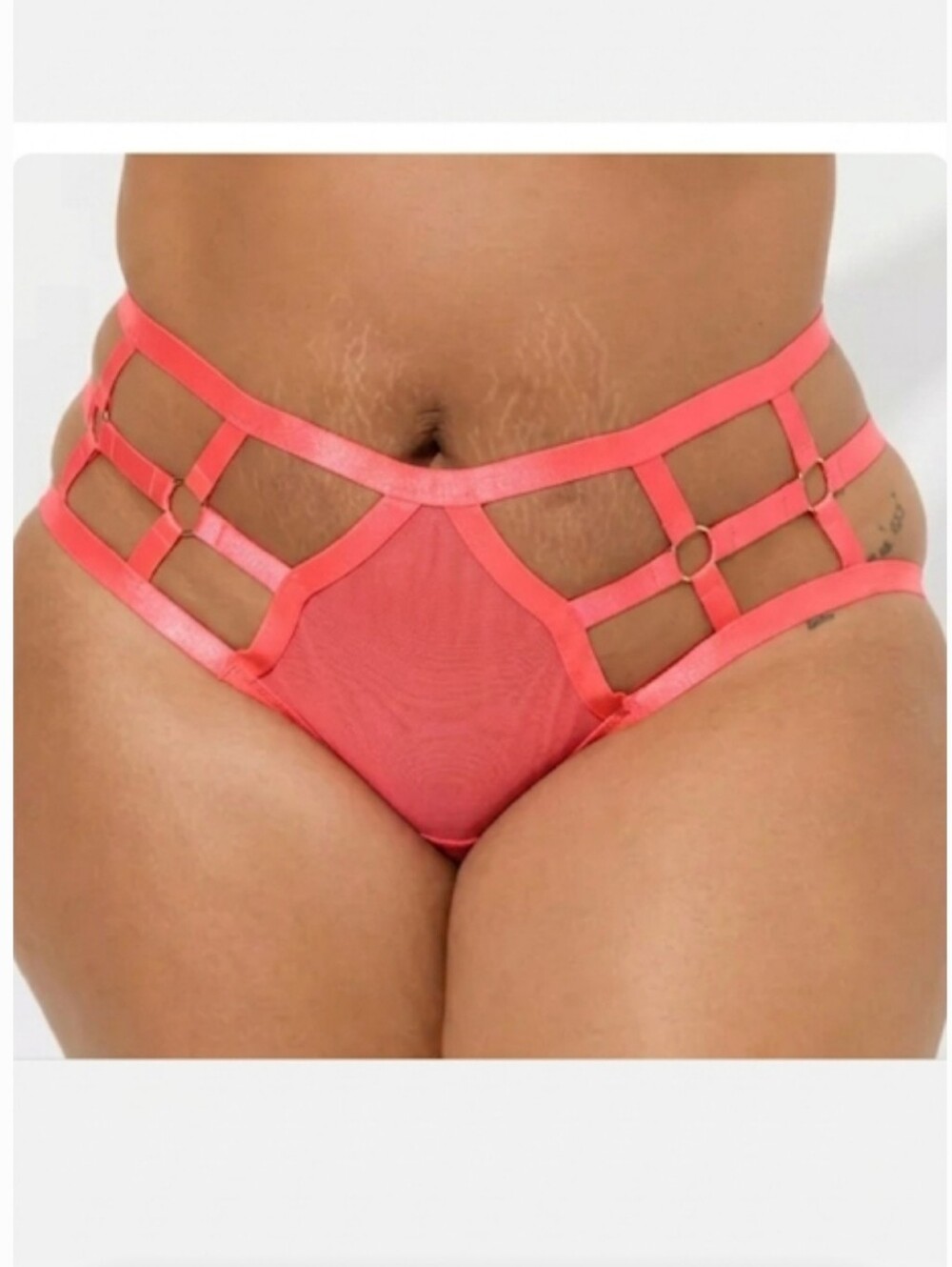 #113 Torrid 2 Overt Strappy Mesh Hipster Panty